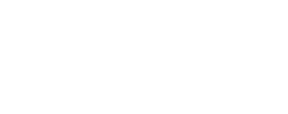 Theo Africa