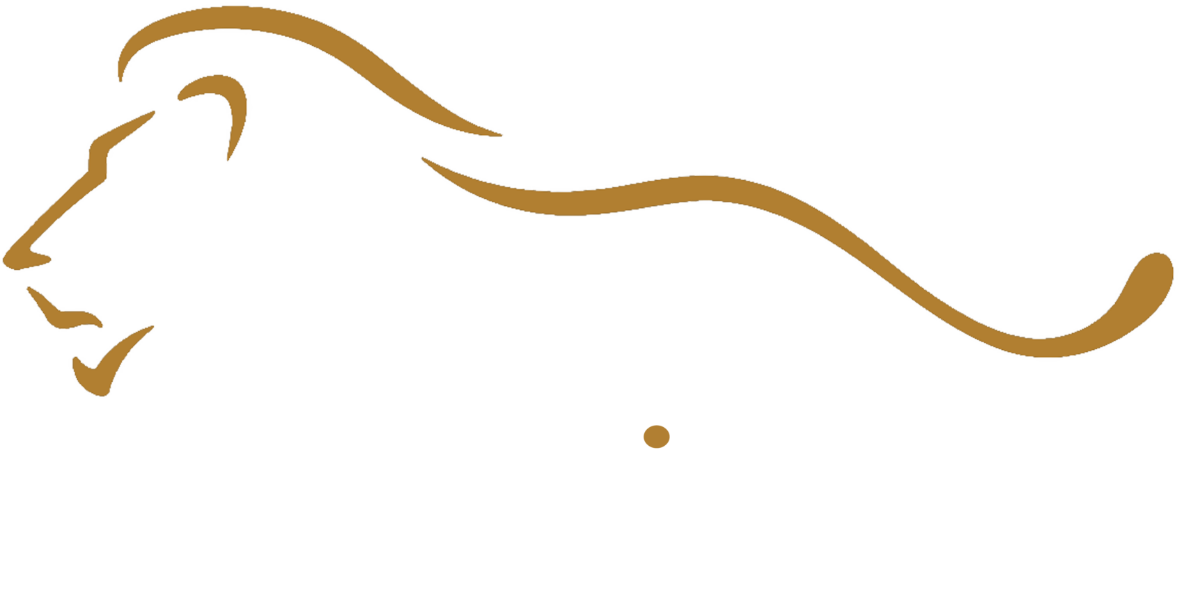 Theo Africa